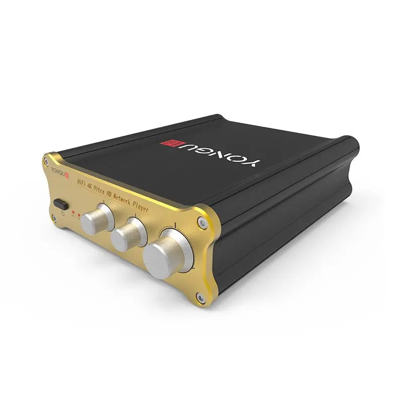 DIY Amplifier Enclosures 133W48.8H Yongu Case